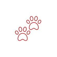 categoriesBG689376d92761b.png