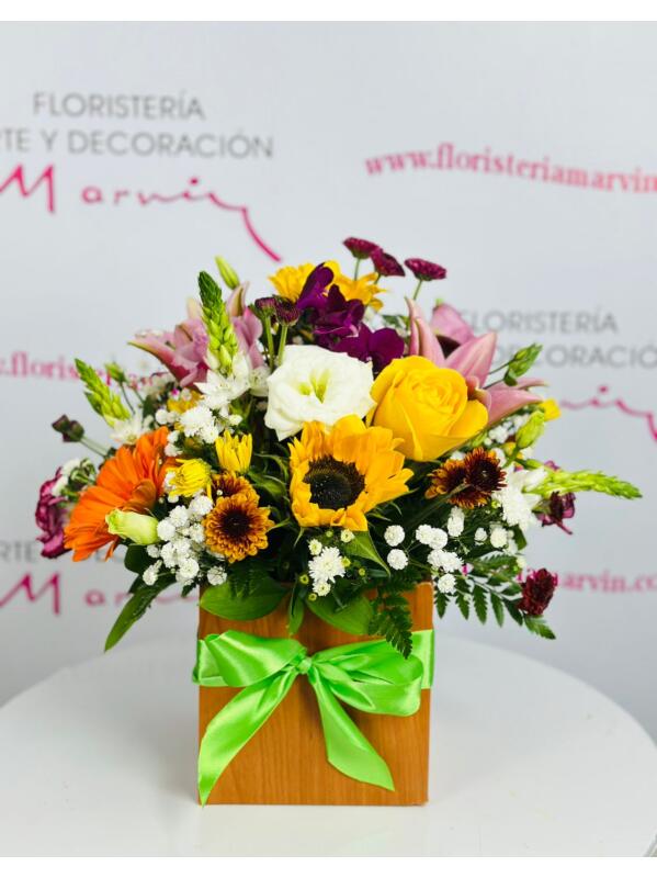 Imagen de producto